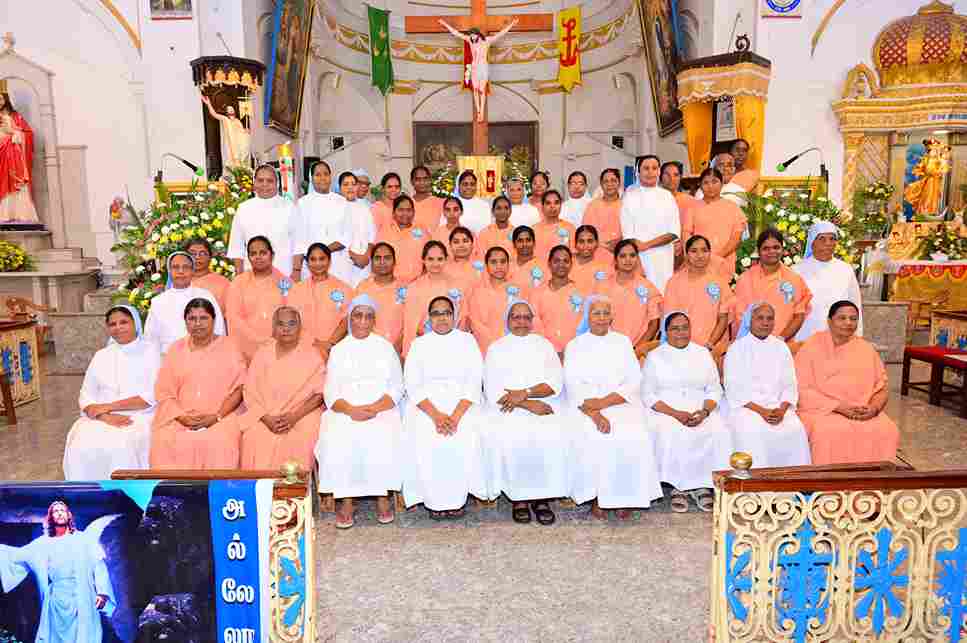 Final Profession - 2026